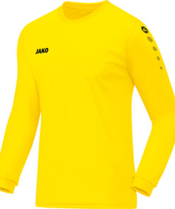 JAKO Shirt Team LM 4333 citroen